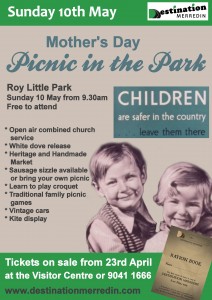 DM Picnic poster