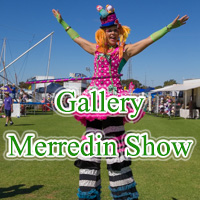 button mdn show