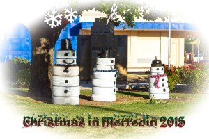 snowman 2015_1200