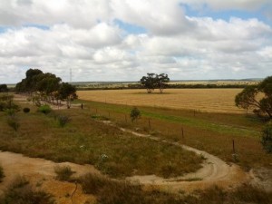 image11