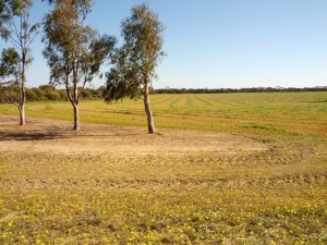 image14