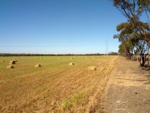 image15