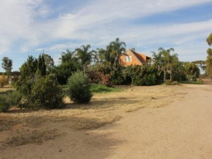image3