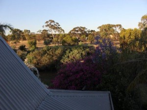 image31