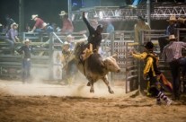 Woodstock country muster