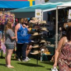 Merredin Show