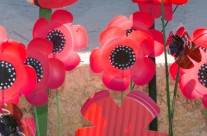 ANZAC Day