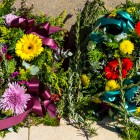 A Big ANZAC Day