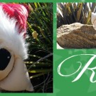 Who is Rudy the Elf?