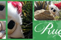 Who is Rudy the Elf?